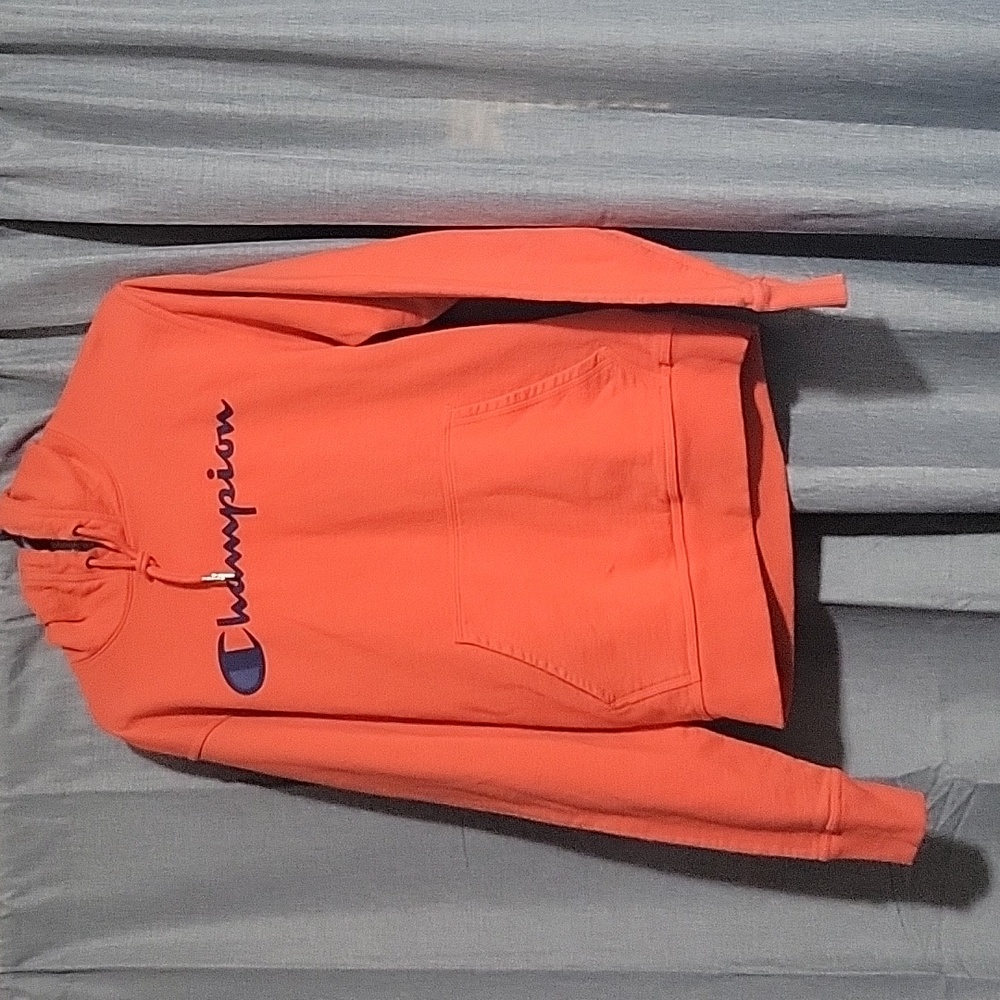 Champion Powerblend hoddie. Small.